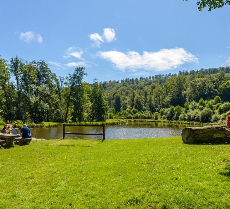 Domaine provincial de Mirwart